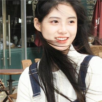 你好喵室友